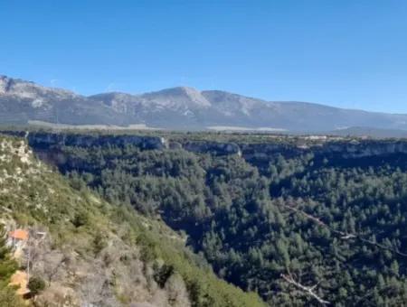 Der 200000M2 Mandelgarten Steht Im Zentrum Von Mugla Zum Verkauf.