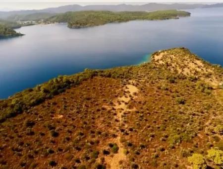 The Island For Sale In The Gulf Of Gökova In Marmaris District Has A Land Area Of 365000M2 And There Is A Registered House In It.